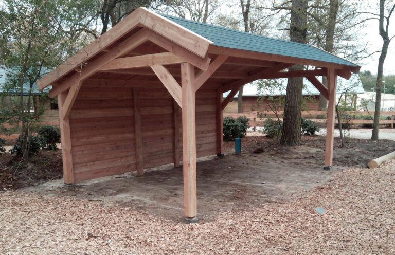 kapschuur bouwpakket - Kapschuur Bouwpakket 1 768x496 kapschuur bouwpakket - Kapschuur Bouwpakket 1 768x496